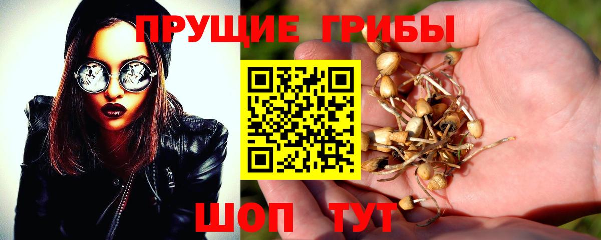 Галлюциногенные грибы Psilocybe  Галлюциногенные грибы GOLDEN TEACHER  Вход с VPN  Кыштым 